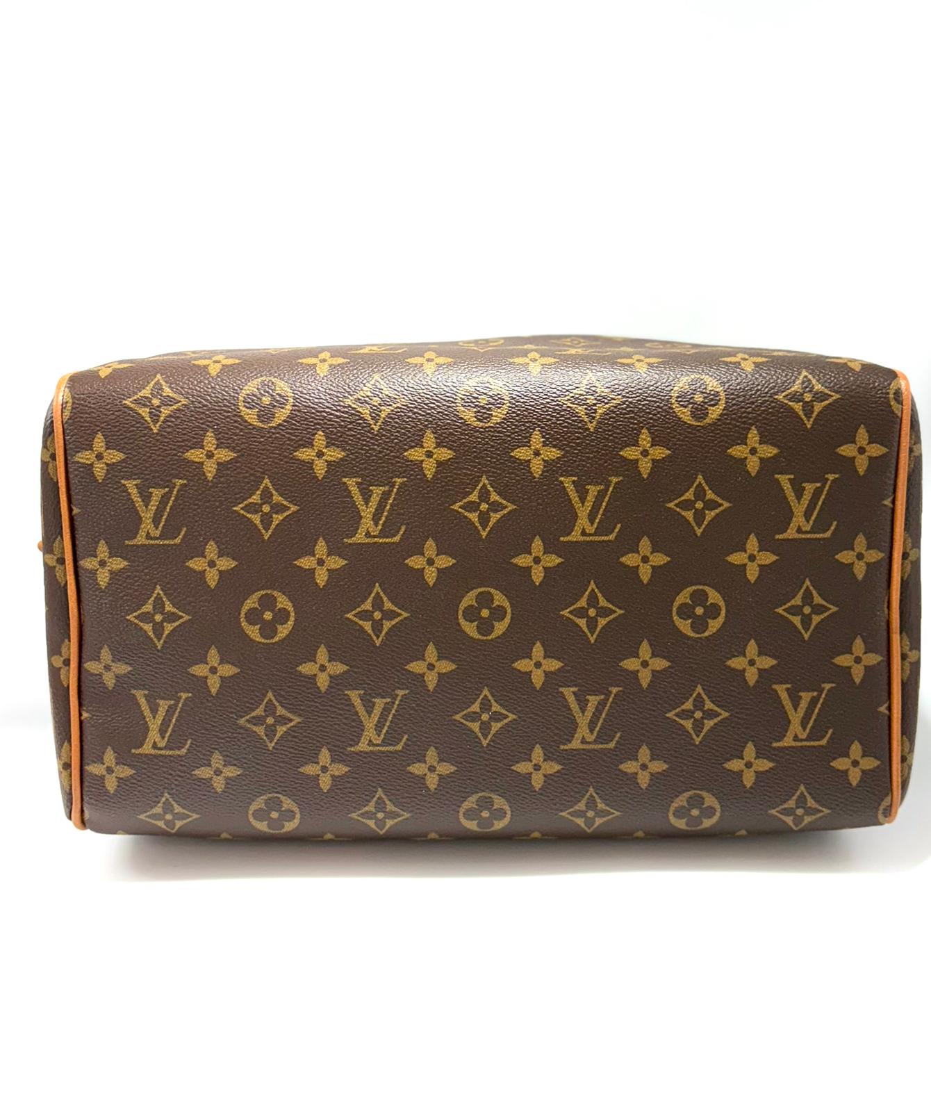 Borsa Louis Vuitton Speedy Soft 30 Boho