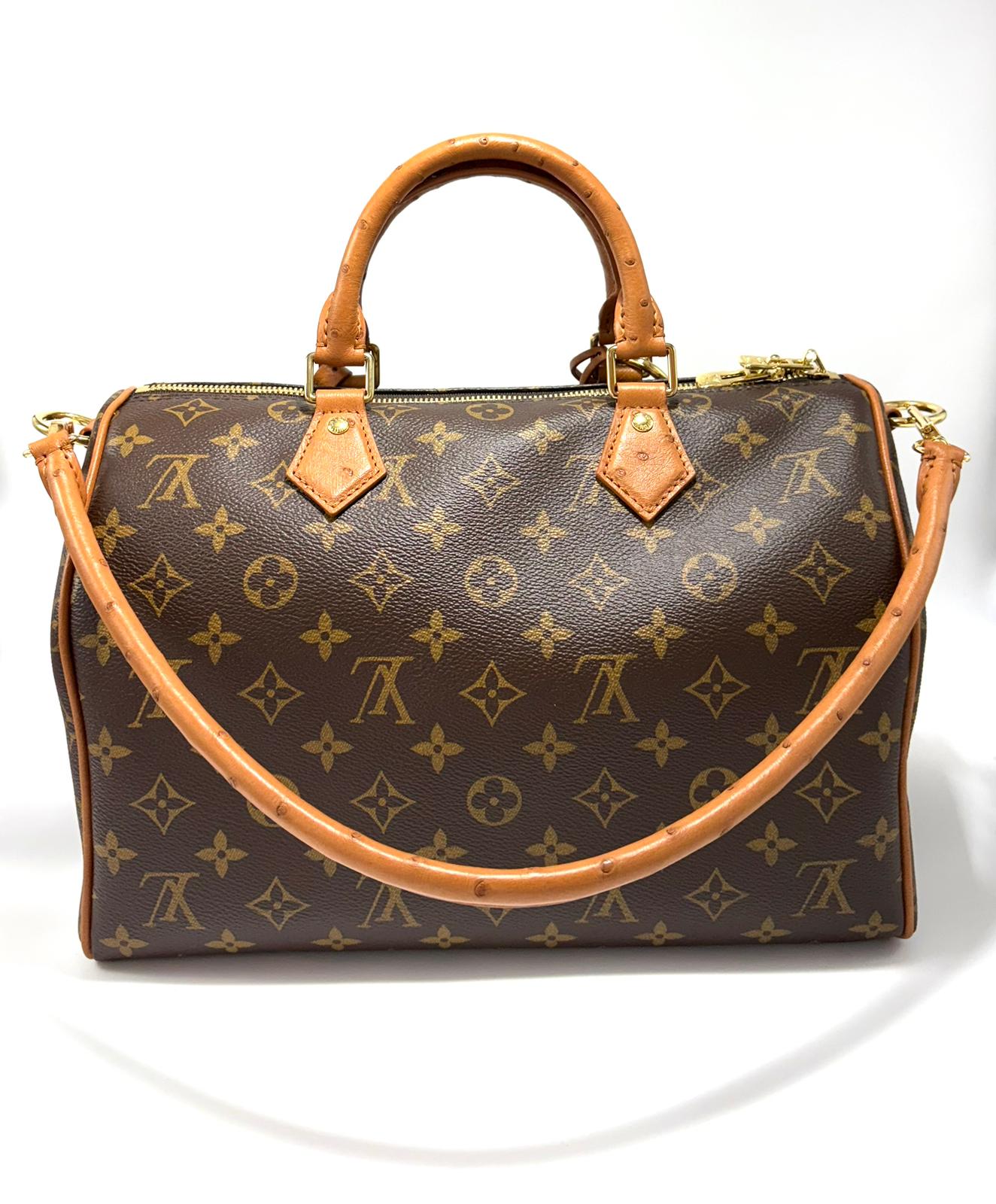 Borsa Louis Vuitton Speedy Soft 30 Boho