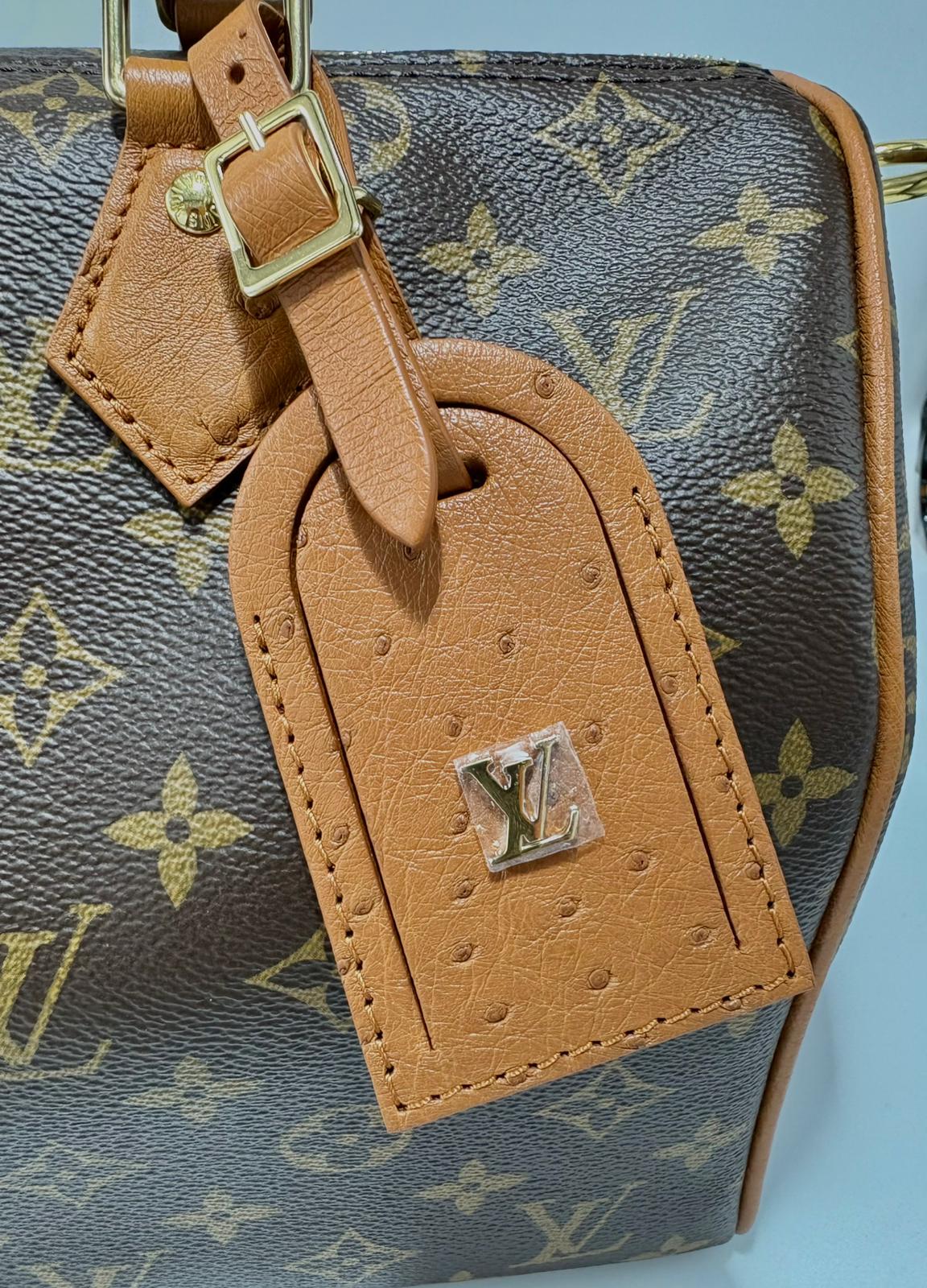 Borsa Louis Vuitton Speedy Soft 30 Boho