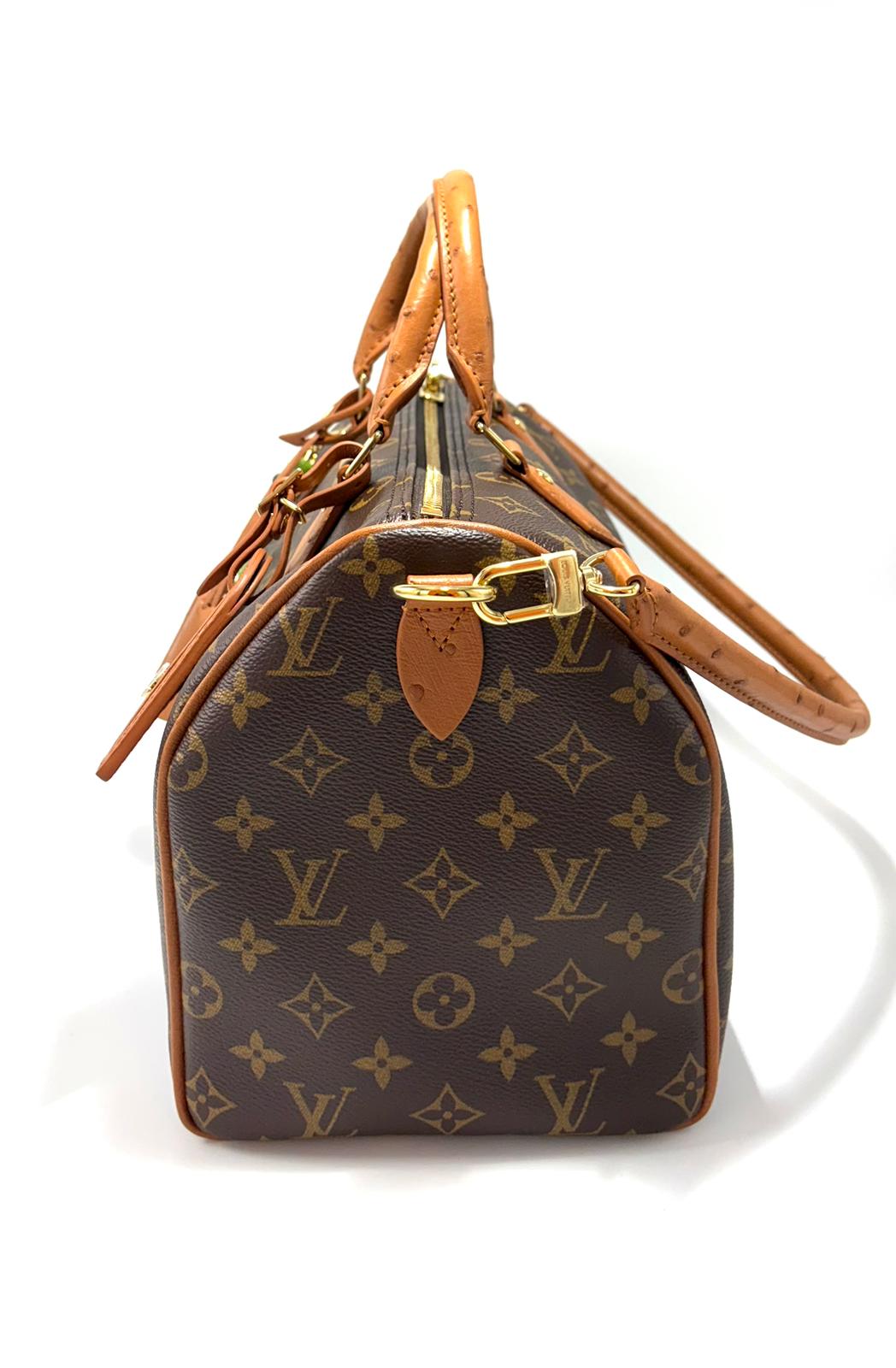 Borsa Louis Vuitton Speedy Soft 30 Boho
