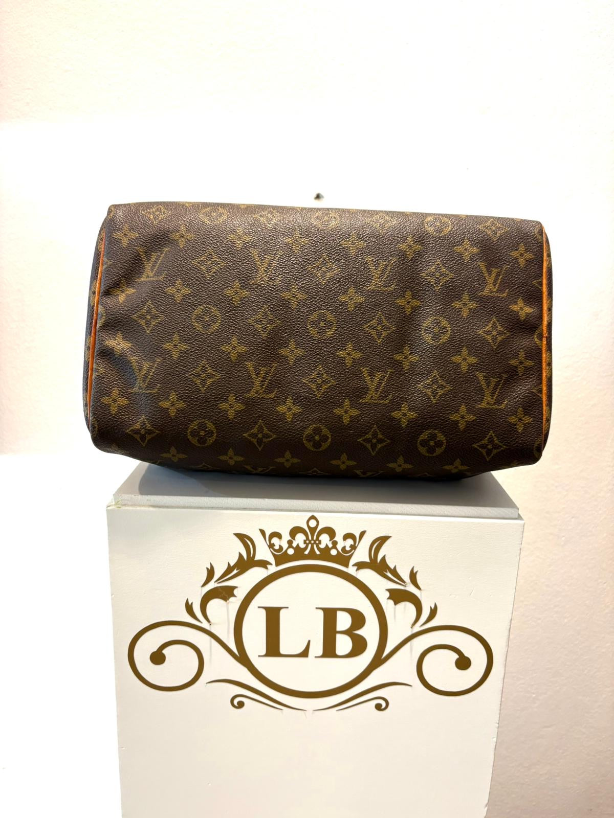 Borsa Louis Vuitton Speedy 30