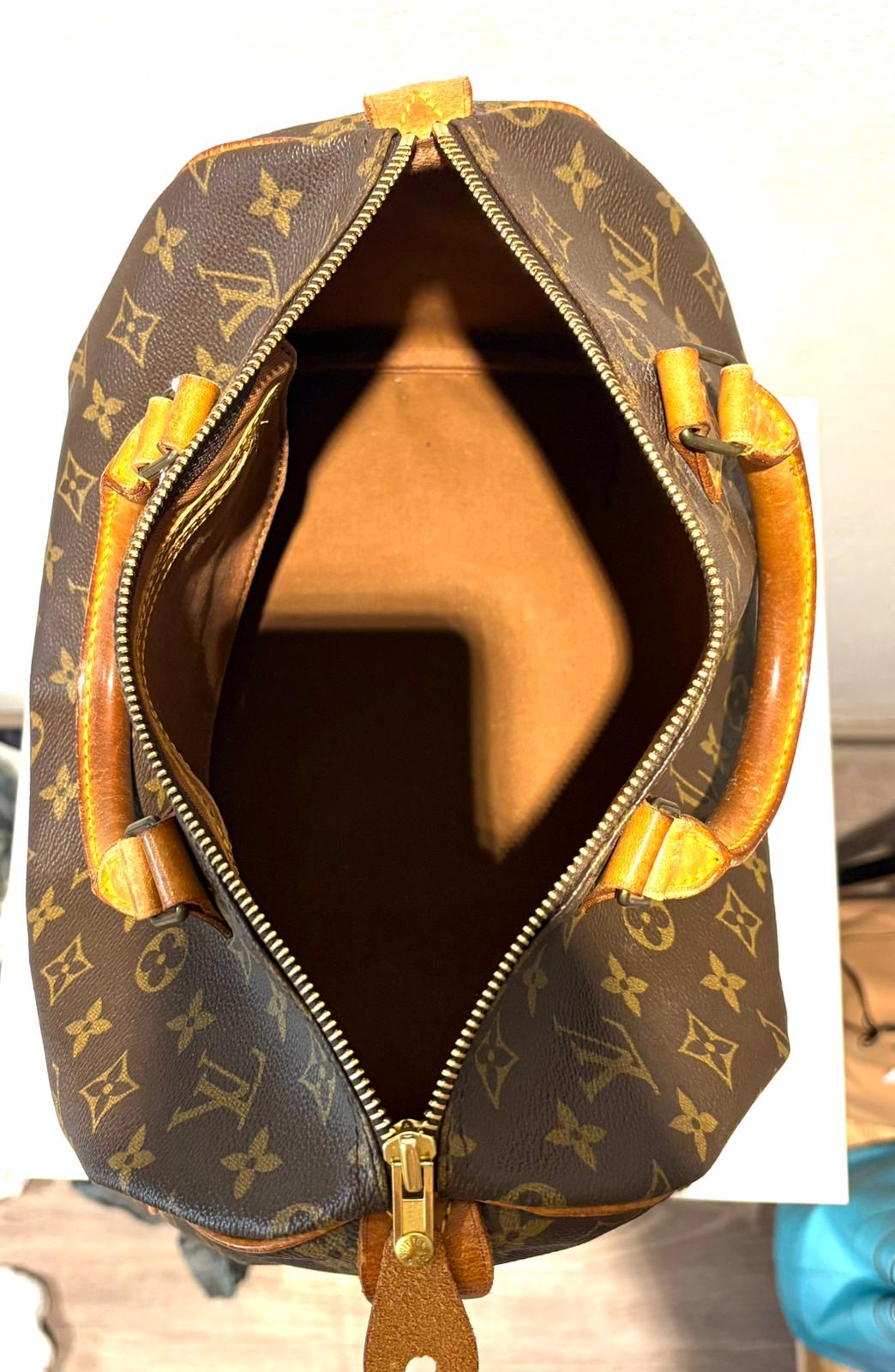 Borsa Louis Vuitton Speedy 30