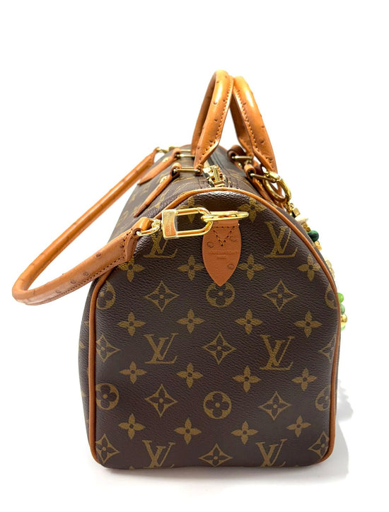 Borsa Louis Vuitton Speedy Soft 30 Boho