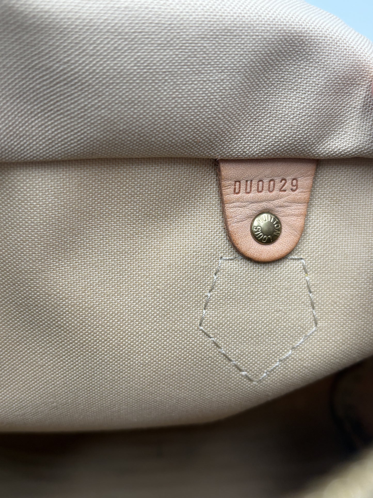 Borsa Louis Vuitton Speedy 30